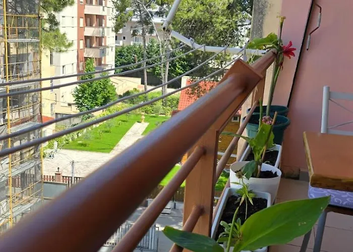 Apartman Ejoa Summer *